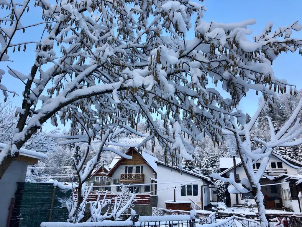 Вілла Podul De Brazi - Fir Bridge Кирцишоара Екстер'єр фото