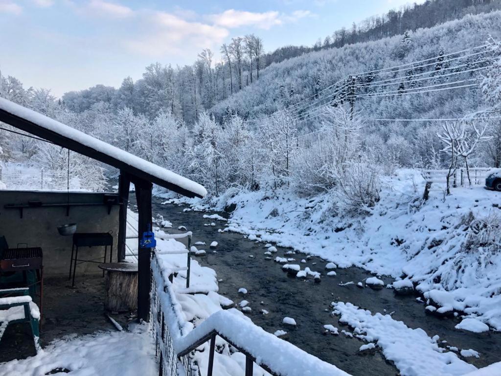 Вілла Podul De Brazi - Fir Bridge Кирцишоара Екстер'єр фото