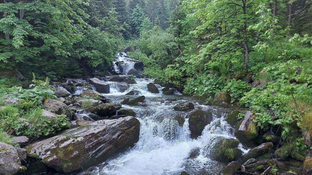 Вілла Podul De Brazi - Fir Bridge Кирцишоара Екстер'єр фото