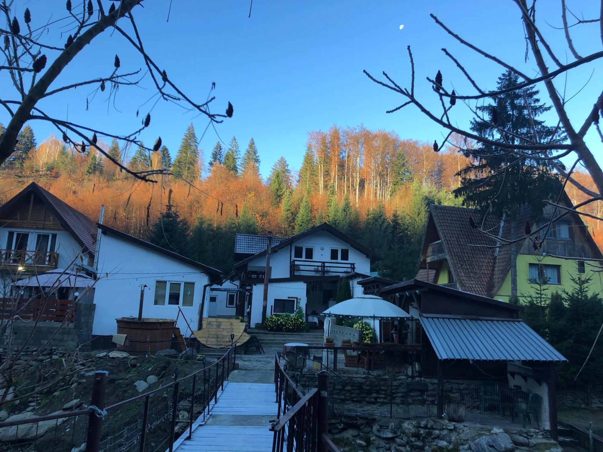 Вілла Podul De Brazi - Fir Bridge Кирцишоара Екстер'єр фото
